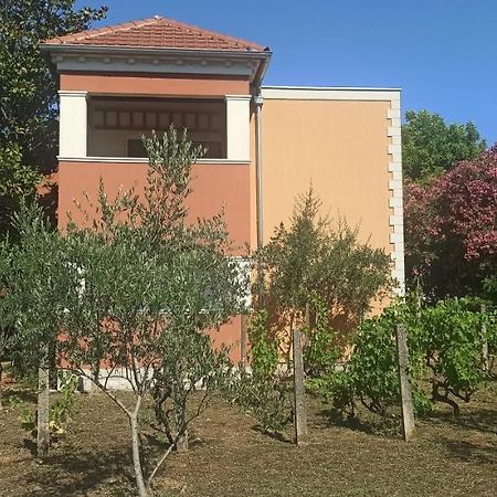 Apartments Rolovina Tivat Exteriér fotografie
