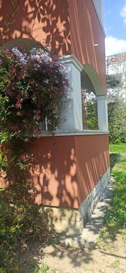 Apartments Rolovina Tivat Pokoj fotografie