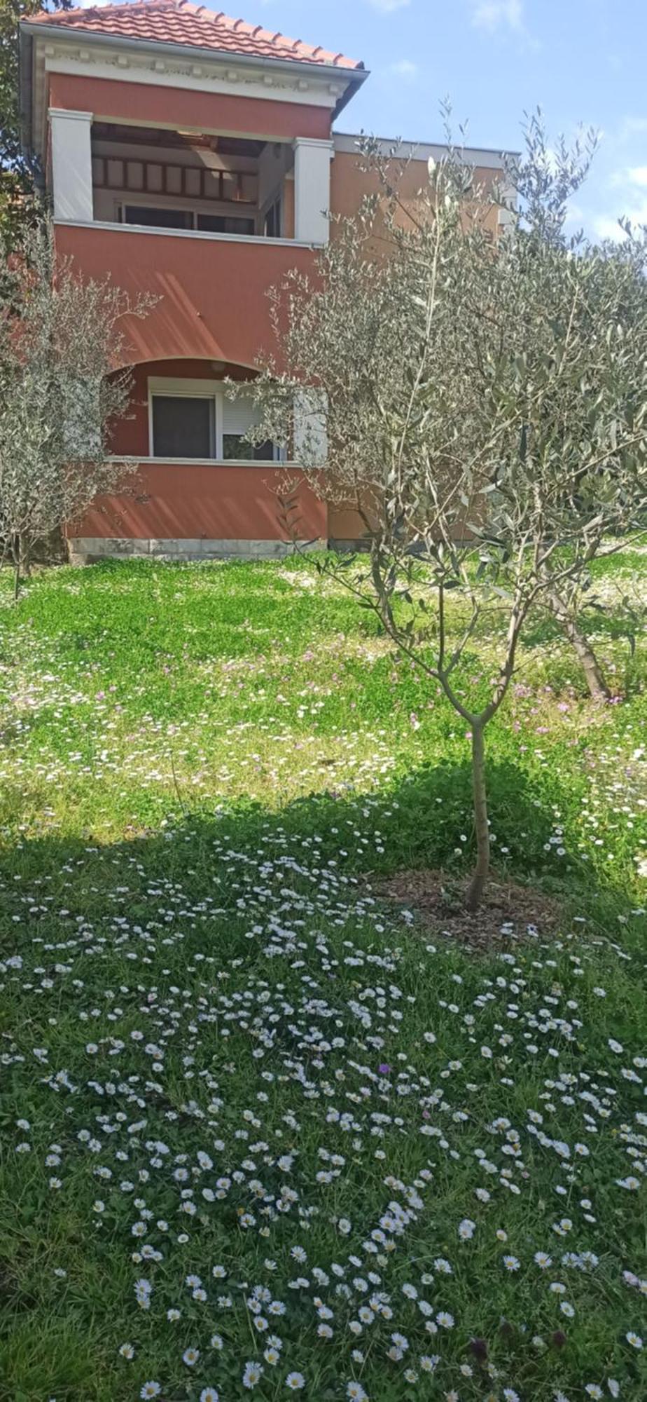 Apartments Rolovina Tivat Pokoj fotografie
